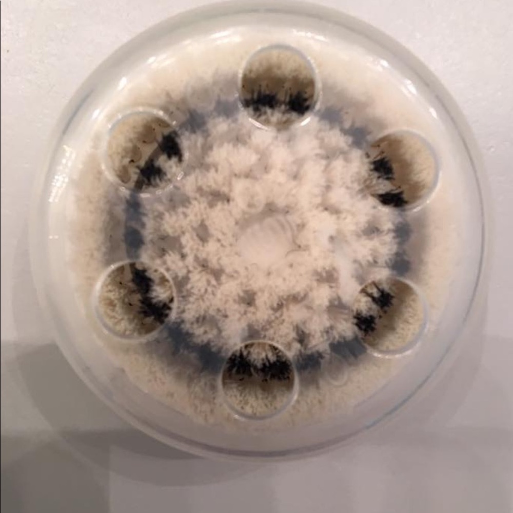 Authentic Clarisonic Sensitive Brush capped